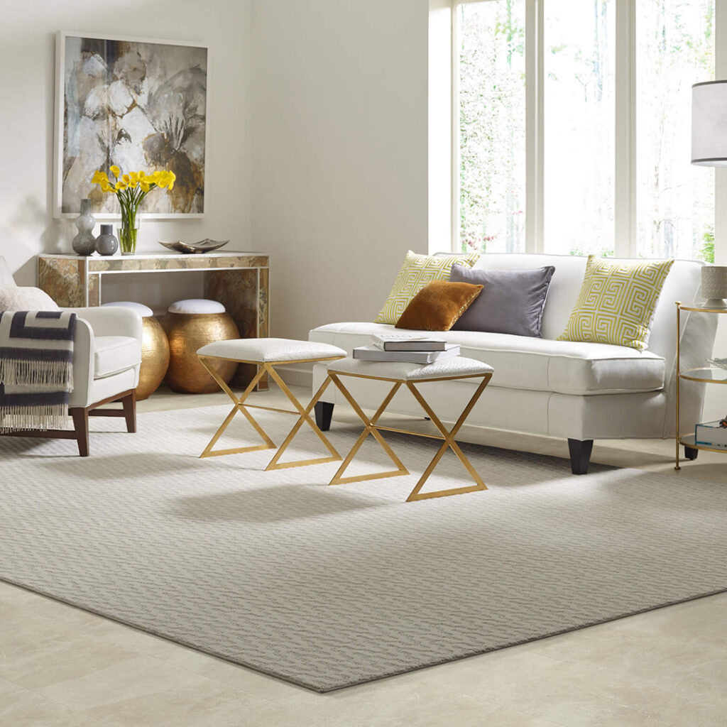 Area Rug | Carpet Advantage